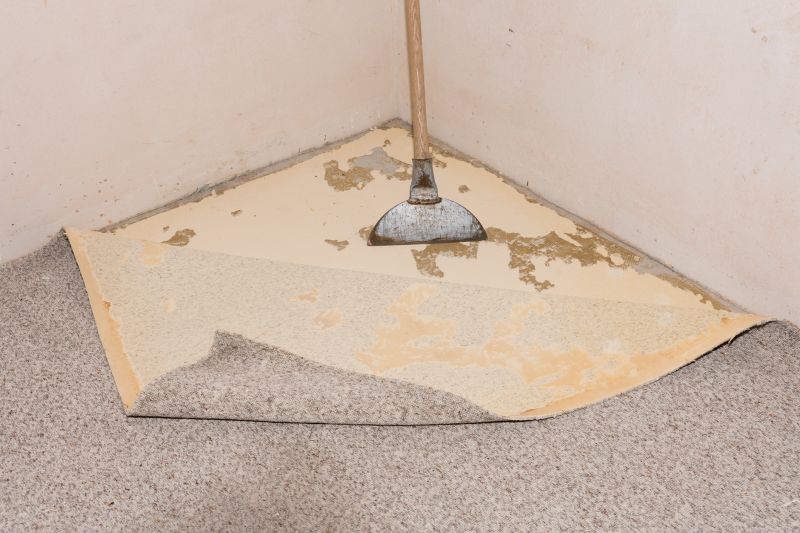Carpet Removal Service in Chico, CA